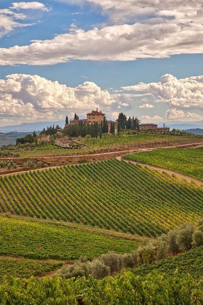 Eggers, Julie 아티스트의 Italy-Tuscany A view of the vineyards and villa in Chianti region of Tuscany-Italy작품입니다.